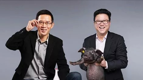 网易丁磊的养殖模式,丁磊养猪刘强东种大米任正非养牛