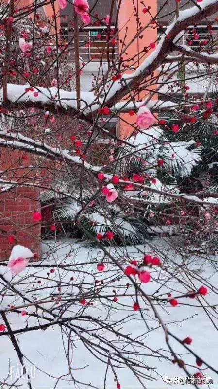 固始县慈济高中操场多大图,固始县慈济高中附近有啥好玩的