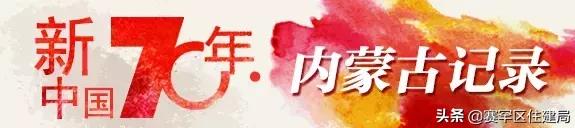 在内蒙古家里没几匹马和骆驼都不能愉快地玩耍了！