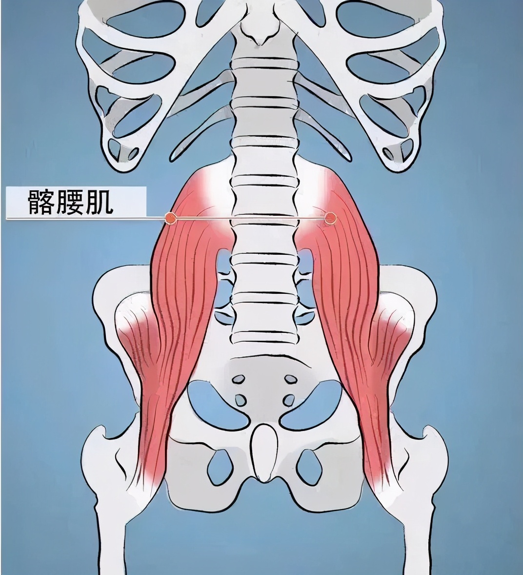 顽固性粗腿怎么瘦成筷子腿,腿型正常的小粗腿