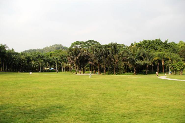 深圳到海南一周自驾游最佳方案,深圳周边旅游景点推荐自驾游