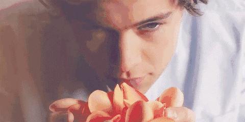 圣诞节将至，给女友挑什么礼物，能拥有一个美妙的夜晚？