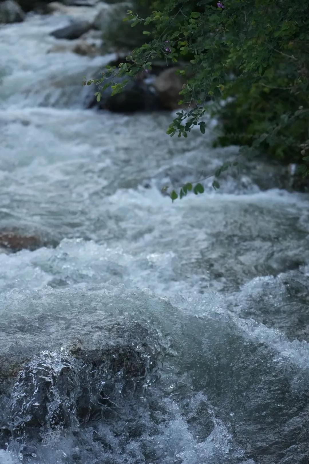 仲夏：在一本古籍中与明朝的云南县相遇