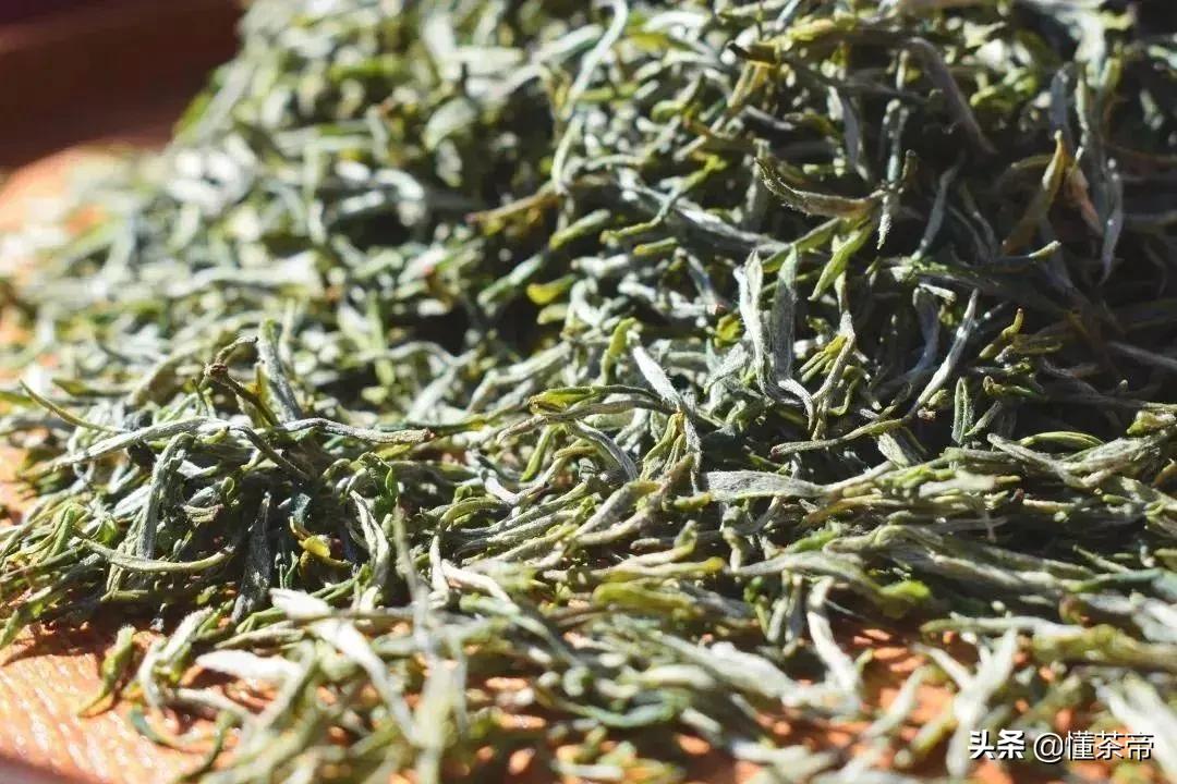 绿茶四大产区及代表茶,绿茶4大流派代表名茶