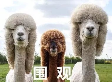 雅诗兰黛红腰子效果怎么样,别再被骗了假化妆品