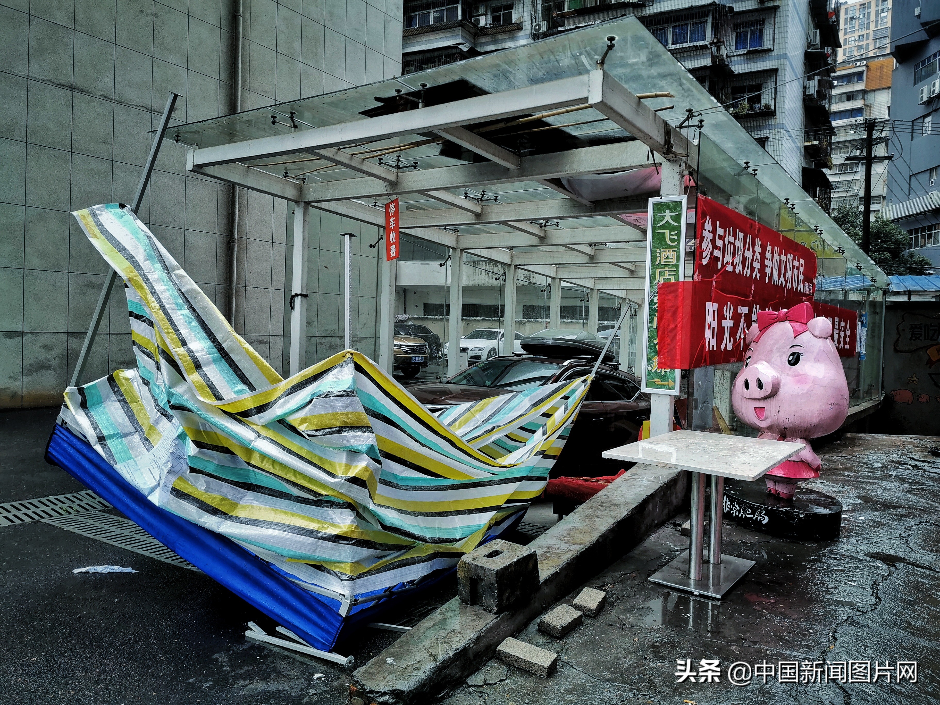 战疫一线志愿者的感人事迹,志愿者抗疫期间的个人感悟