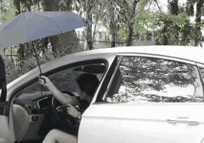 最厉害的一把伞,抗风能力超强自动伞