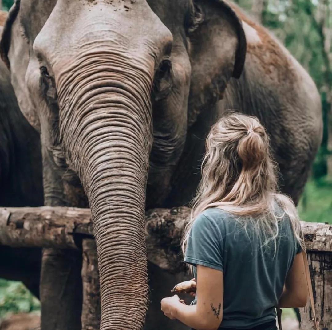 最详细泰国旅游攻略,超详细的泰国旅游攻略