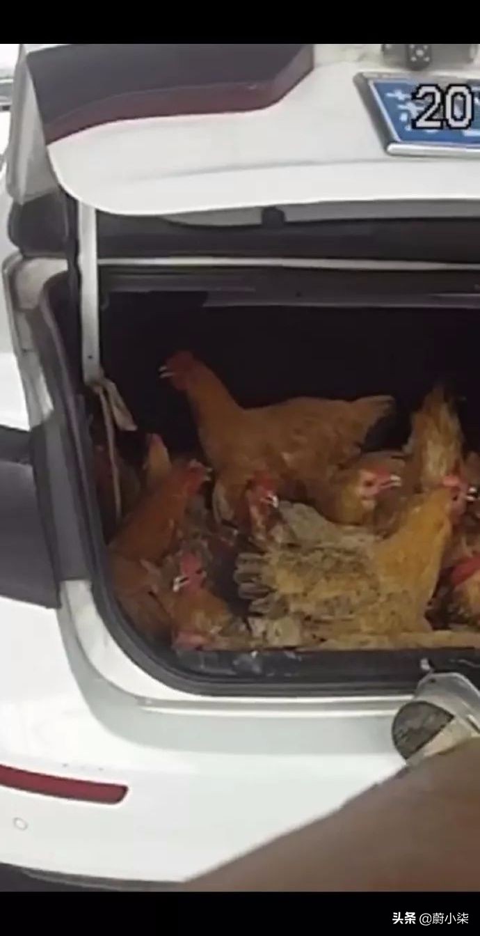 突然发现女友有纹身,男朋友前女友有纹身