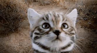 这6部电影足以秒杀大部分电影,十部必看旅行纪录片人文纪录片