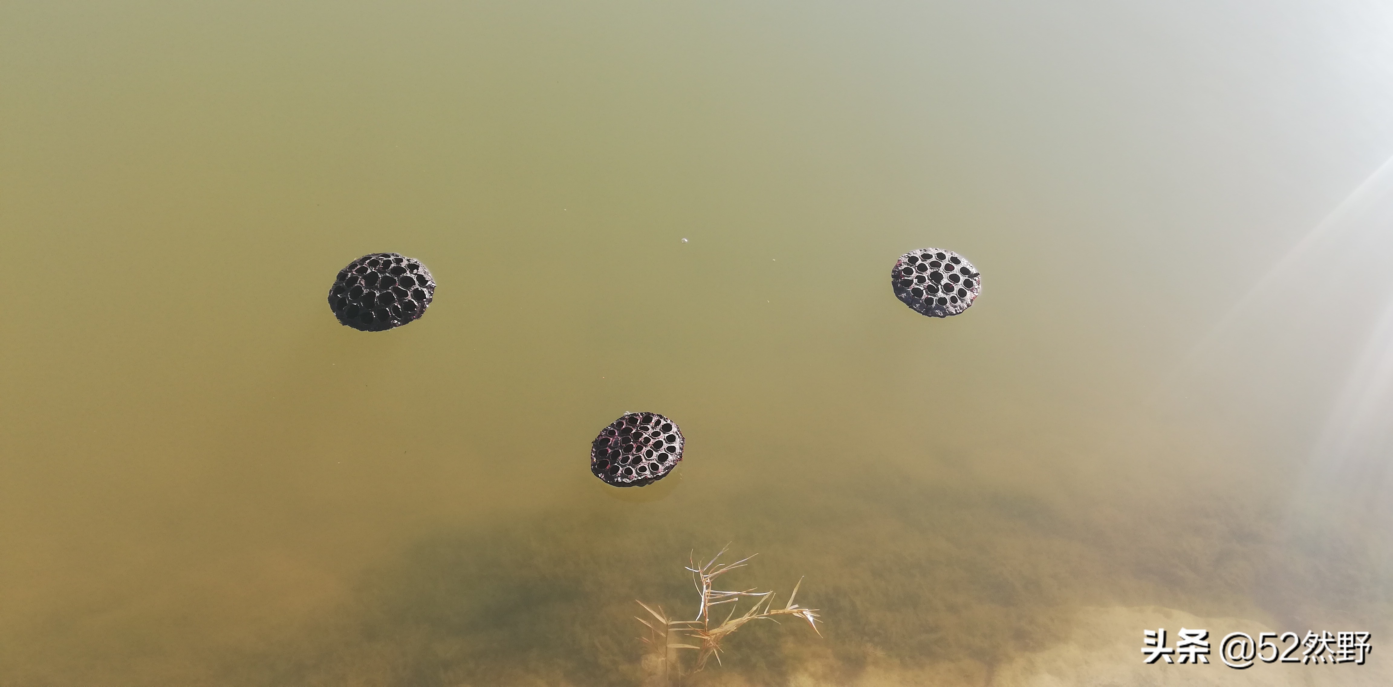 永定河北京的母亲河桑干河,桑干河与滹沱河
