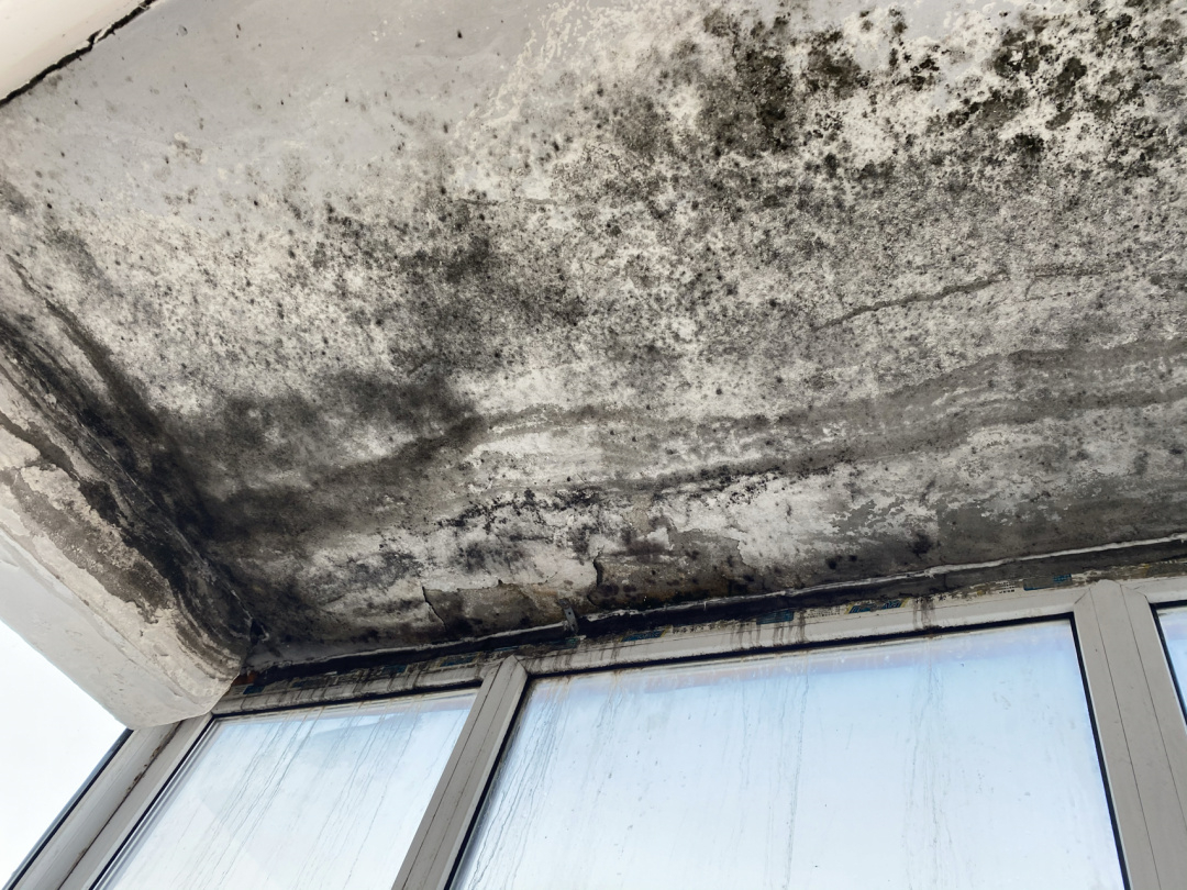 一楼房间太潮了有没有办法,一楼装修好了潮得很怎么补救