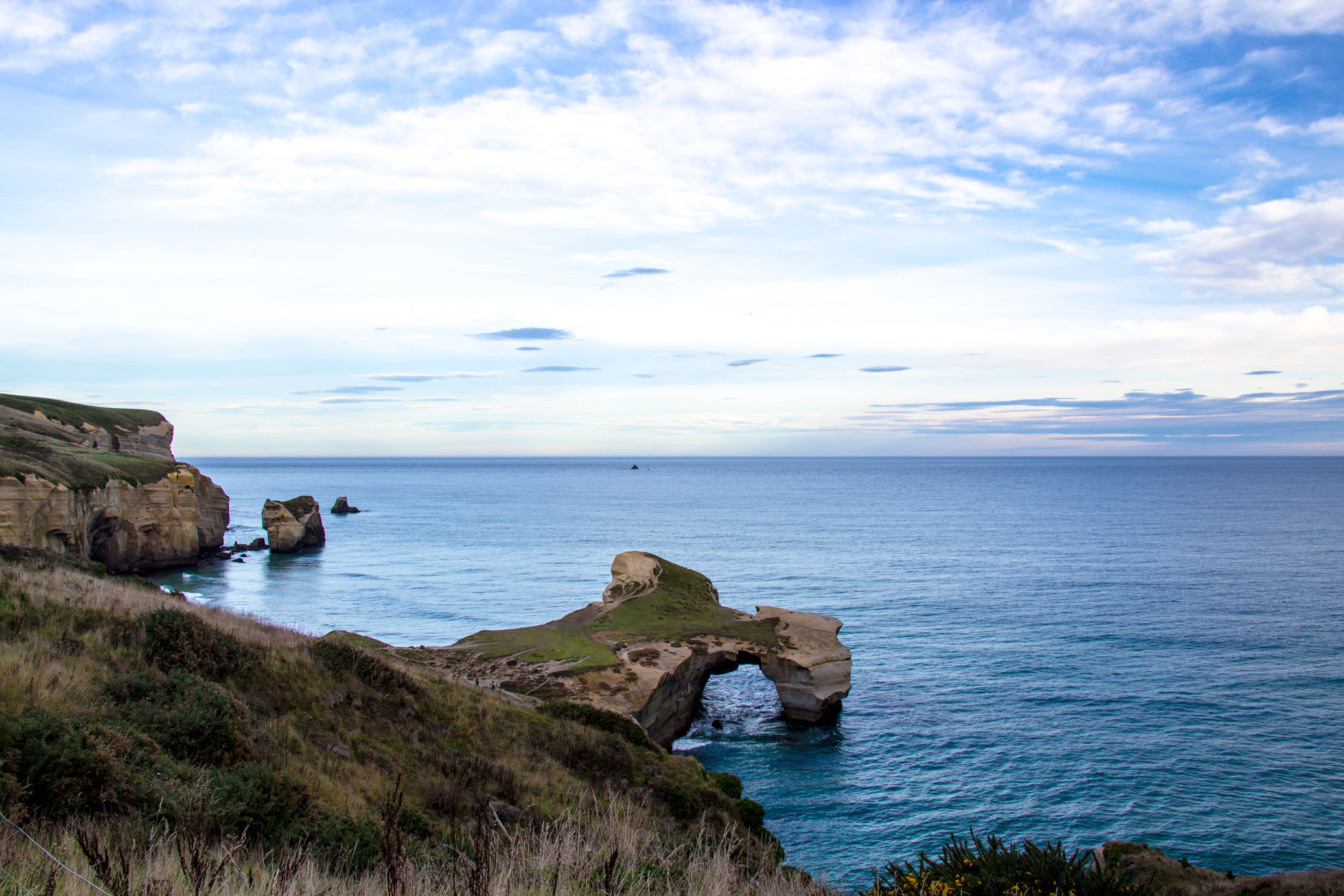 新西兰旅游必备大牌礼物,新西兰旅行攻略完整详细版