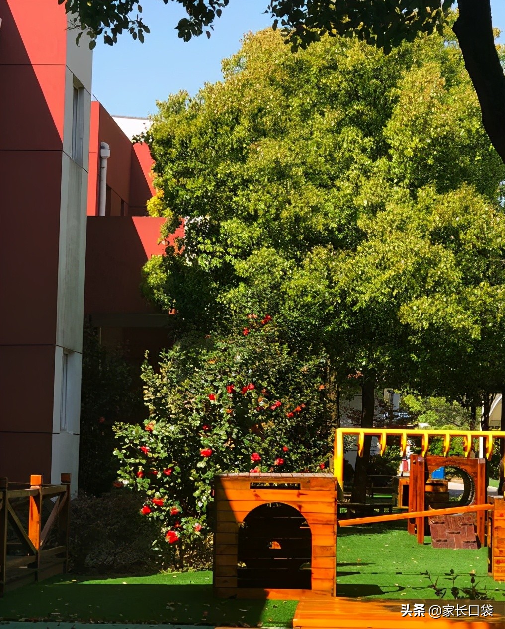 均价4000上双语！上海这8所双语园性价比超高