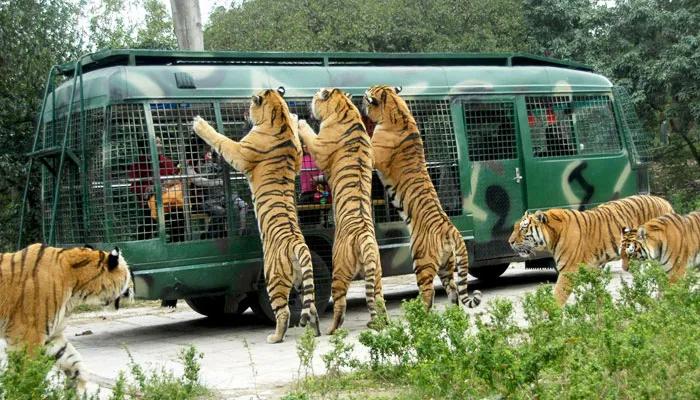 老式泉盛对讲机,泉盛对讲机是不是名牌