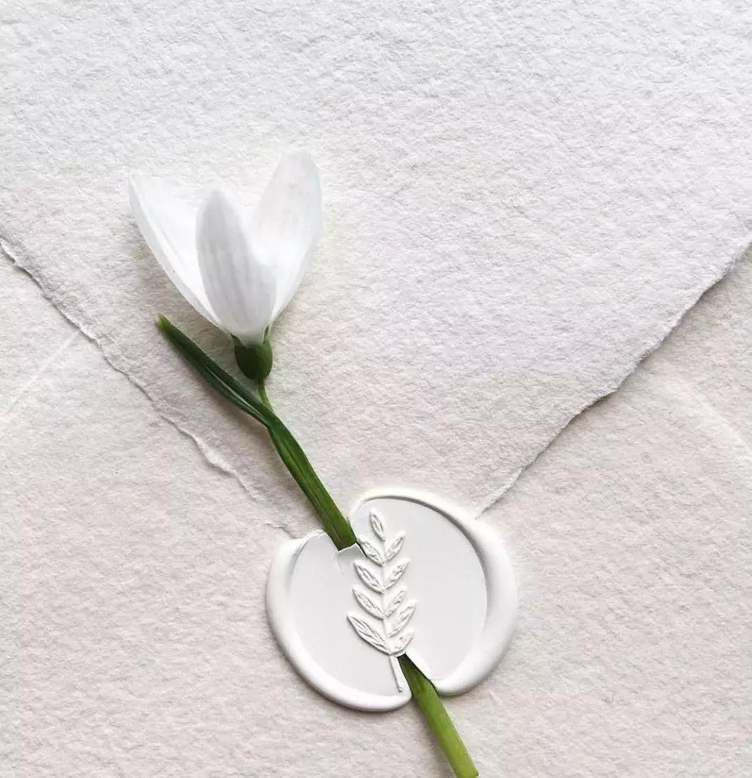 创意婚礼请柬怎么写范文图片,婚礼请帖创意攻略