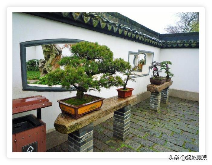 陈从周的园林作品有哪些,陈从周中国园林风格