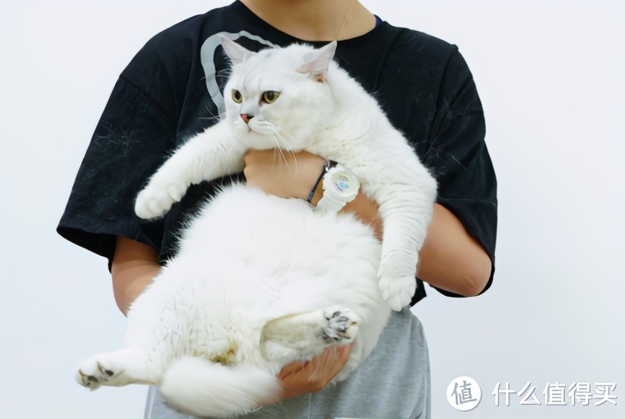 colmo星辰洗烘洗衣机缺点,美的洗烘套装测评