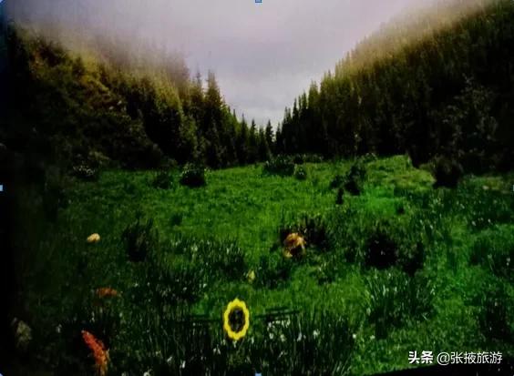 山丹军马场旅游去哪个马场,山丹军马场世界第一大军马场