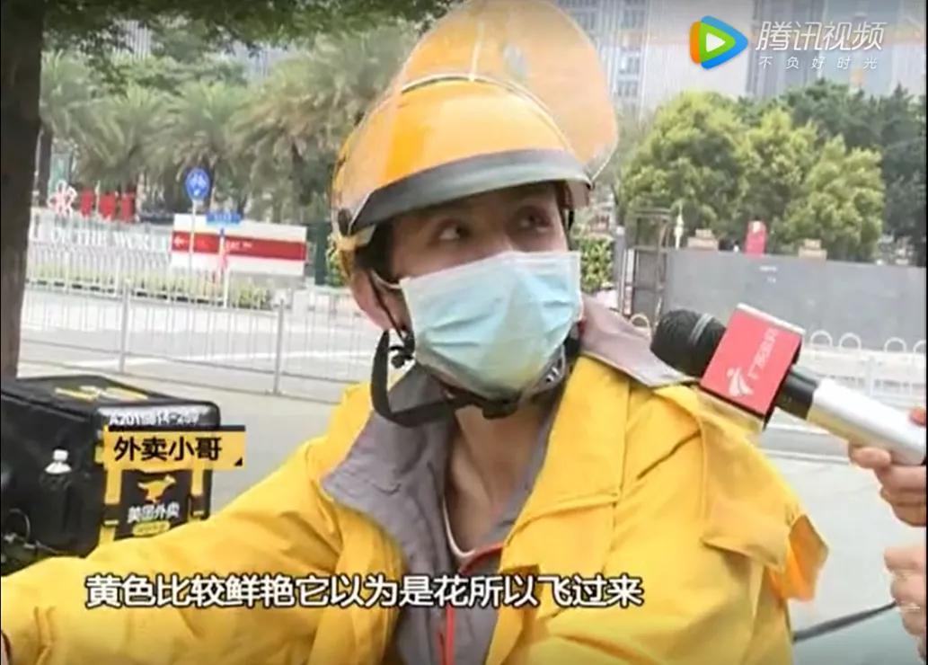 神秘小黑虫,芝麻大小的小黑虫咬人特别痒