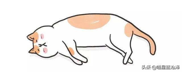 铲屎官要听懂的猫咪求救,铲屎官猫咪的急救信号