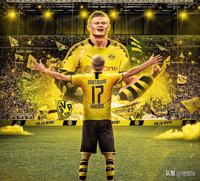 哈兰德身高为什么这么高,哈兰德到底有没有孩子