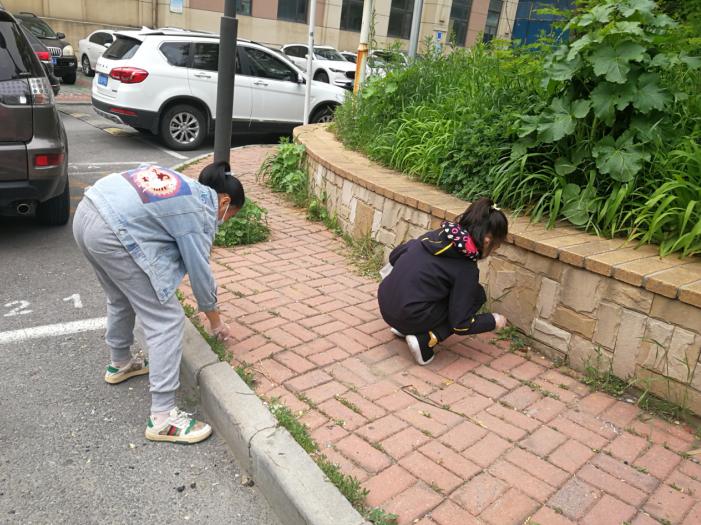 “你的影子”——记马栏义工队