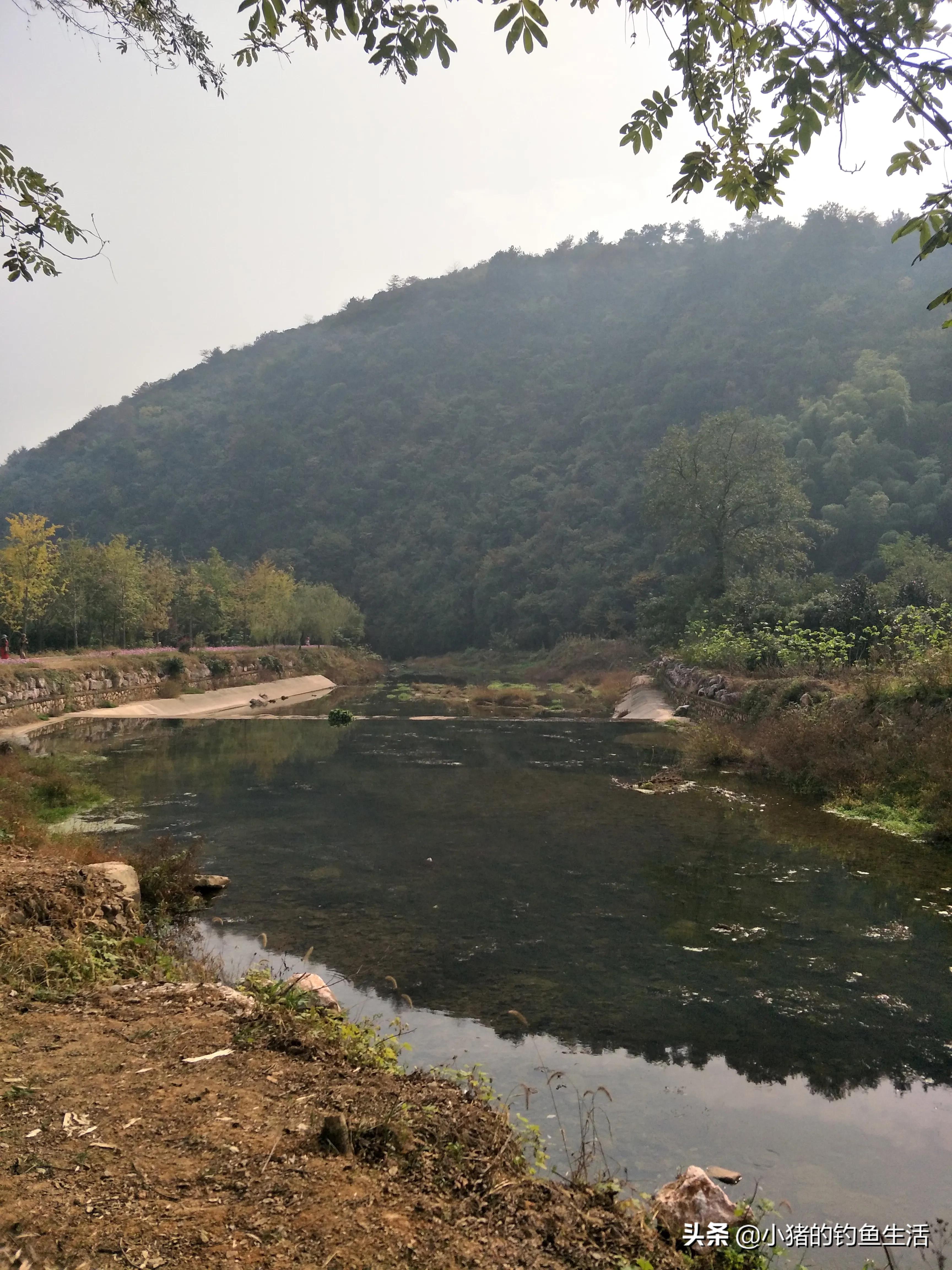 野钓双钩离底还是一钩离底好,野钓鲤鱼如何挂玉米防止挂底