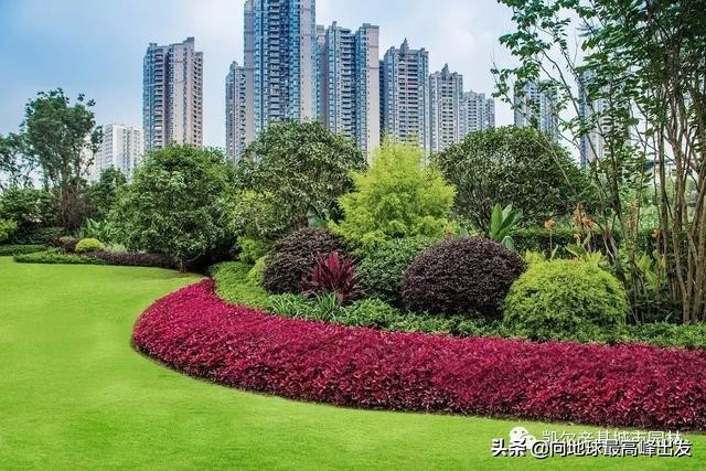 景观草花养护技术大全,景观树木种植技法分析