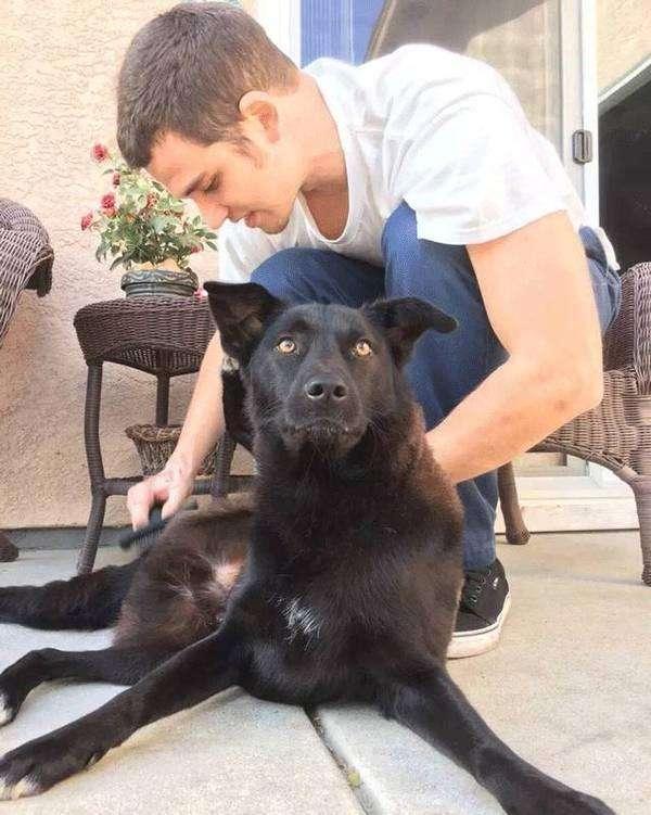 这几种狗，明明是“中国狗”，却被误认为“外国货”