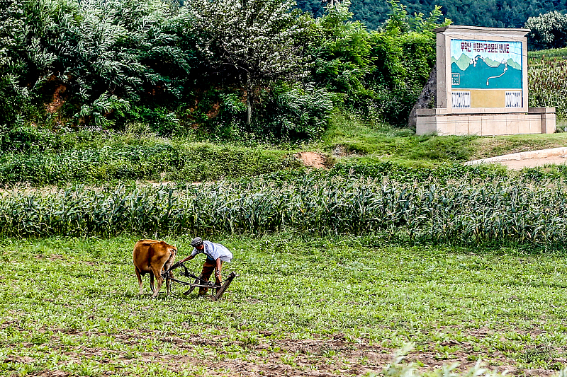 中国游客眼里的朝鲜农村,一个不经意看到的,一个导游领着看到的
