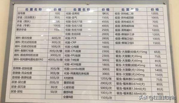 靠谱的宠物医院,好的宠物医院必须有哪些东西