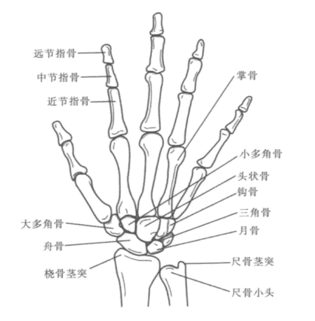 腕舟骨骨折康复训练视频,腕舟骨骨折打了石膏康复需要多久