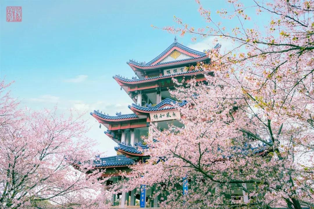 五一这样拼假可连休9天,快来看五一放假四天最全拼假攻略