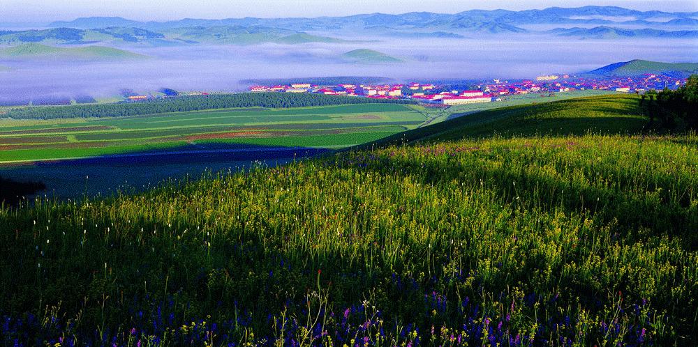 仲夏夜之梦古诗朗诵,仲夏之梦的诗歌