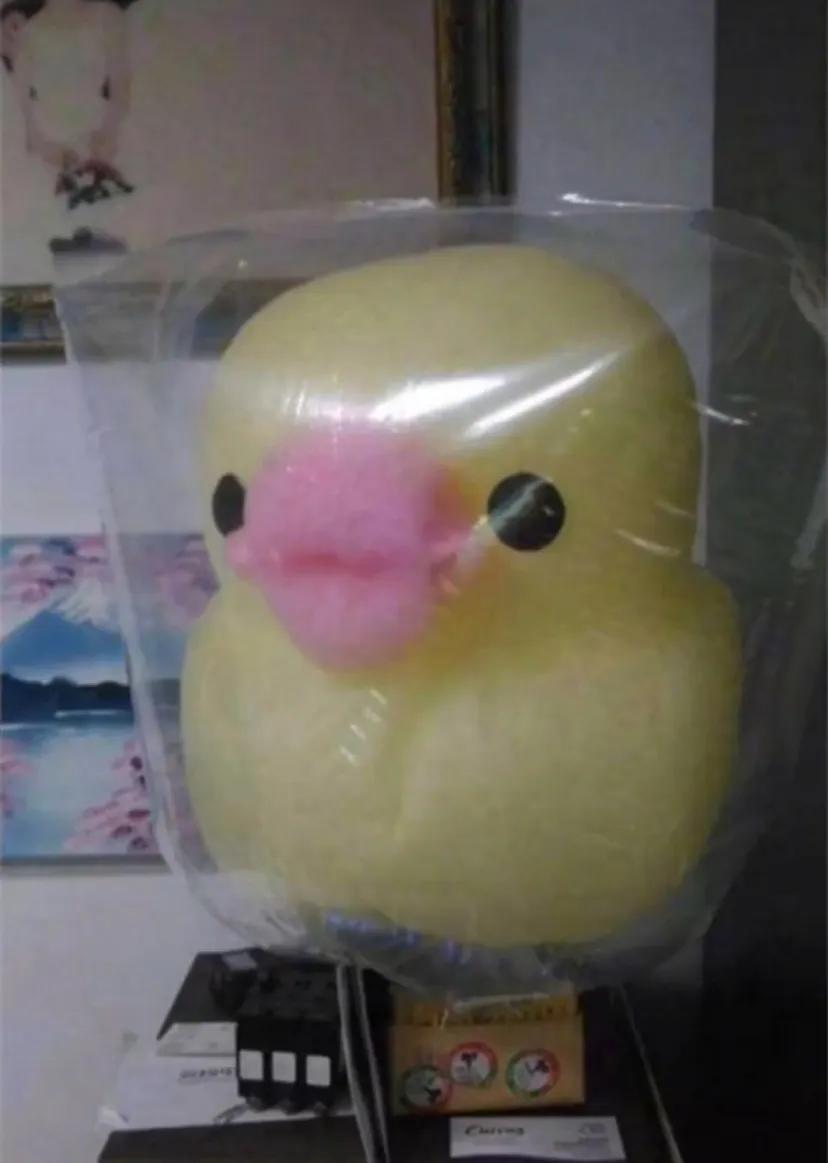 每日一笑挑战规则,每日一笑尴尬局面