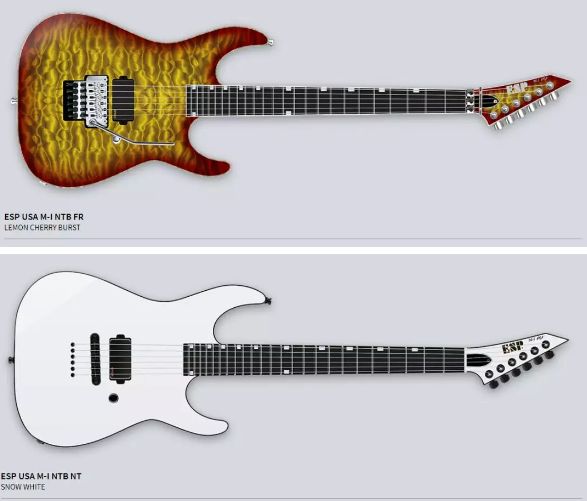 esp电吉他是哪个国家的,esp电吉他家族成员介绍