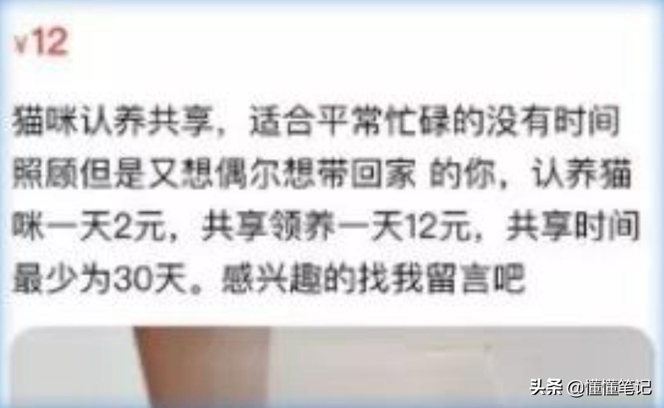 铲屎官一年养猫需要多少钱,猫咪铲屎官兼职工资多少钱