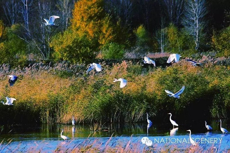 虎林市夜景照片,虎林印象