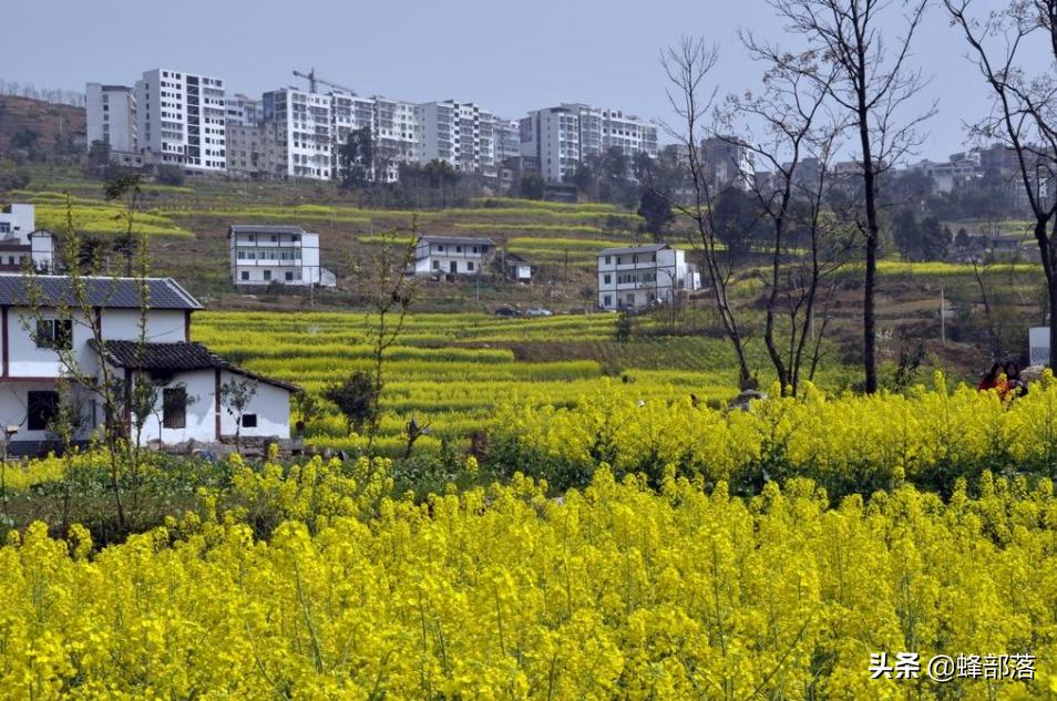 农村小伙做5年电商赚多少钱,农村小伙创业目标月入2百万