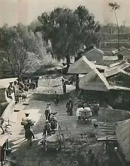 【FENG向】丰台花乡：匠人匠心，八百年打造京城里的″花花世界″