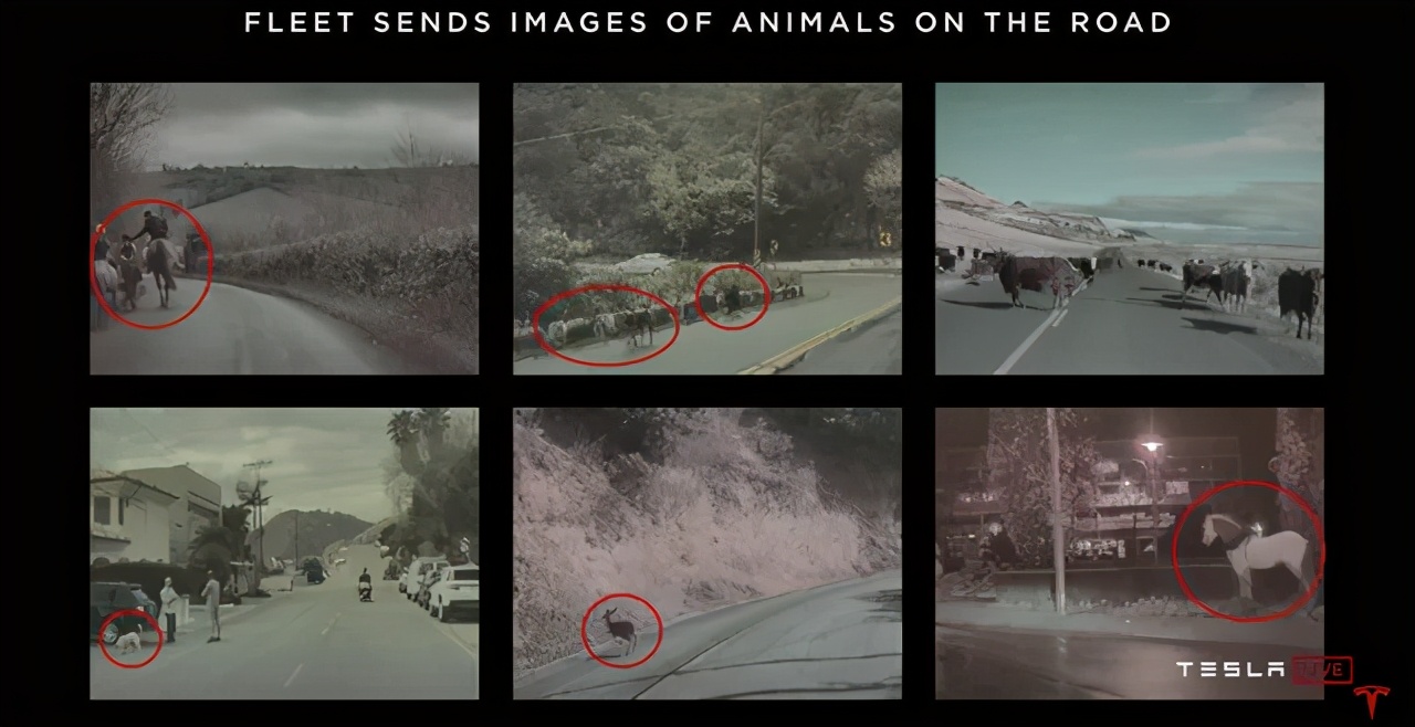 为什么现在资本家越来越多,中国最受欢迎的企业有哪些