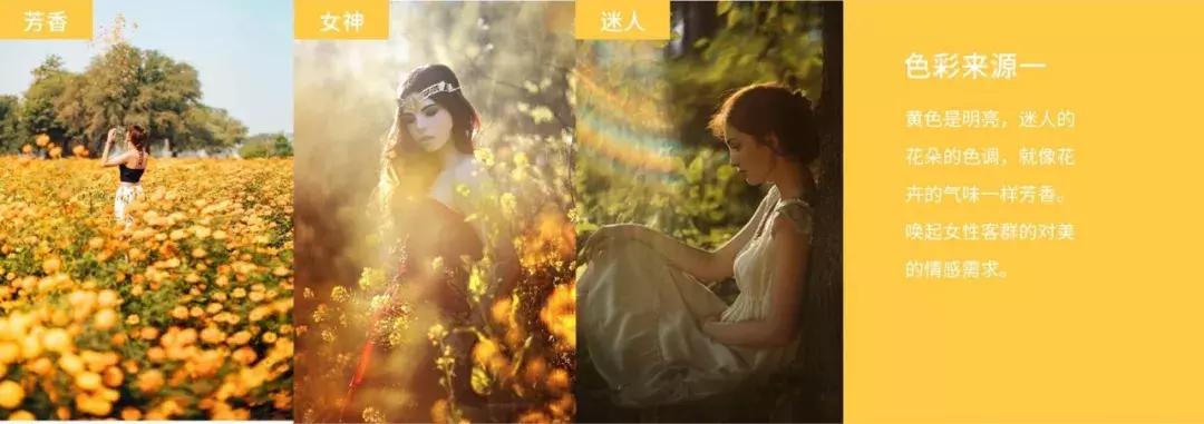 爱诺玛亚金盏花,爱诺玛亚花神手表