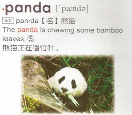 GrowingUp英汉彩图辞典3000字——能点读纠正发音的神器（下）