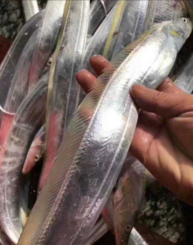 北海到底适不适合定居,北海有哪些景点