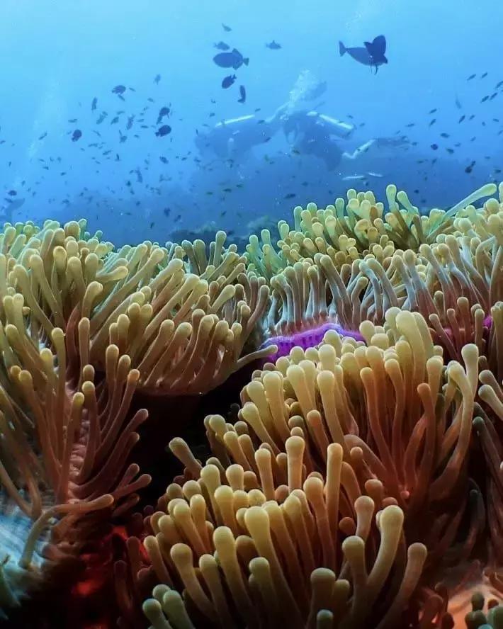 马尔代夫旅游度假岛组图,菲律宾长滩岛拥有亚洲最美沙滩