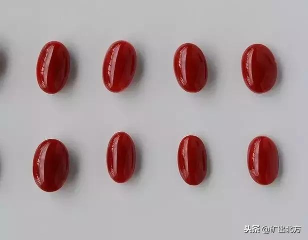 红珊瑚有什么保健作用,红珊瑚对身体有哪些好处