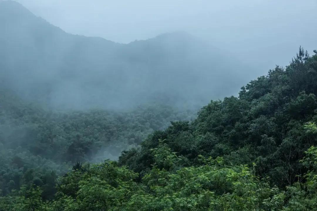 未迟万卷粮仓民宿,未迟民宿官网