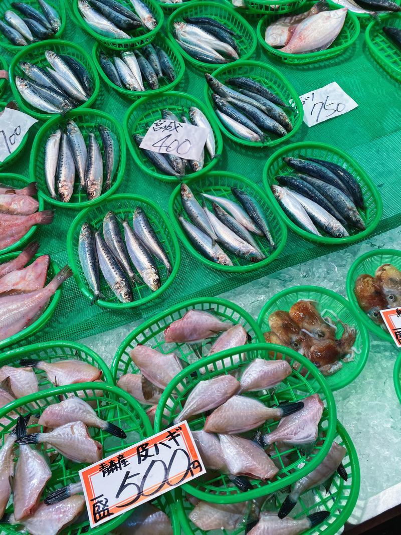 日本小众路线冬,日本冬天观光公路