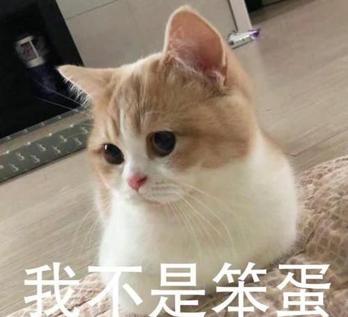 笑话十条,十条长篇笑话